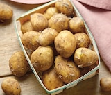 Netto Creysse - Promo Pomme de Terre Primeur Promo Pomme de Terre Primeur à 2,99 € dans le catalogue Netto à Creysse