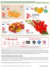 Promos Plante Verte dans le catalogue "XXL" de Auchan Supermarché Plante Verte en promo dans le catalogue Auchan Supermarché à la page 15