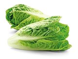 Bio Romana Salatherzen im Angebot bei REWE in Offenbach Bio Romana Salatherzen Angebote bei REWE Offenbach für 1,49 €