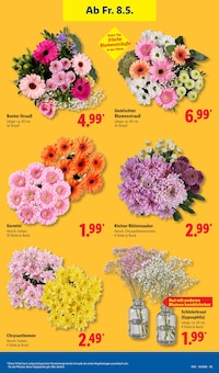 Chrysantheme im Lidl Prospekt "LIDL LOHNT SICH" mit 73 Seiten (Hamburg)