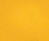 Deutsche rote Äpfel bei Penny im Prospekt "" für 1,49 €