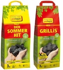 Grillis oder Grill-Holzkohle Der Sommerhit im Angebot bei REWE in Gladbeck Grillis oder Grill-Holzkohle Der Sommerhit Angebote von proFagus bei REWE Gladbeck für 7,49 €