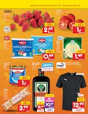 Ähnliche Herren Pullover Angebote im Prospekt "Aktuelle Angebote" von Netto Marken-Discount in Halle Ähnliche Angebote wie Herren Pullover im Prospekt "Aktuelle Angebote" auf Seite 6 von Netto Marken-Discount in Halle