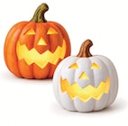 Halloween-Kürbis im Angebot bei Wreesmann in Görlitz Halloween-Kürbis Angebote bei Wreesmann Görlitz für 4,99 €