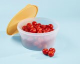 Everyday Bowl Angebote von Tupperware bei REWE Rodgau für 9,99 €