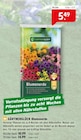 Blumenerde Angebote von GÄRTNERGLÜCK bei Raiffeisenmarkt Münster für 5,49 €