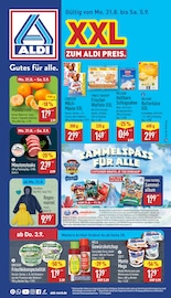 ALDI Nord Discounter Prospekt der aktuellen Woche mit 41 Seiten, gültig von 31.08.2026 bis 05.09.2026, in Friedrichstadt und Umgebung Aktueller ALDI Nord Discounter Prospekt in Friedrichstadt und Umgebung, "Aktuelle Angebote" mit 41 Seiten, 31.08.2026 - 05.09.2026