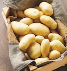 Intermarché Super La Seyne-sur-Mer - Promo Pomme de terre de consommation Promo Pomme de terre de consommation à 1,49 € dans le catalogue Intermarché Super à La Seyne-sur-Mer