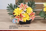 Bazarland Latour-Bas-Elne - Promo Jardinière 3 lys et 3 dahlias avec palmes Promo Jardinière 3 lys et 3 dahlias avec palmes à 9,99 € dans le catalogue Bazarland à Latour-Bas-Elne