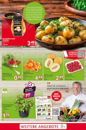 Kartoffeln im Selgros Prospekt in Pirna Aktueller Selgros Prospekt mit Kartoffeln, "cash & carry", Seite 3