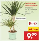 Angebot im Netto Marken-Discount Niepars Prospekt Netto Marken-Discount Niepars Prospekt mit im Angebot für 9,99 €