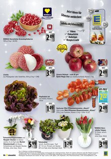 Zimmerpflanzen im EDEKA Prospekt "Aktuelle Angebote" mit 37 Seiten (Mannheim)