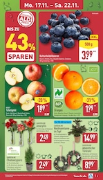 Nordmanntanne Angebot & Preis im aktuellen ALDI Nord Prospekt Nordmanntanne Angebot im aktuellen ALDI Nord Prospekt auf Seite 3