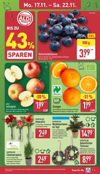 Äpfel im aktuellen ALDI Nord Prospekt (Hannover) Äpfel im ALDI Nord Prospekt "Aktuelle Angebote" mit 50 Seiten (Hannover)