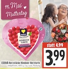 Herzstücke Himbeer Herztorte im Angebot bei EDEKA in Gießen Herzstücke Himbeer Herztorte Angebote von EDEKA bei EDEKA Gießen für 3,99 €