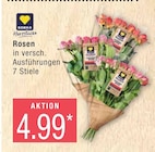 Rosen  im aktuellen Marktkauf Prospekt für 4,99 €