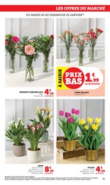 Plante Verte Angebote im Prospekt "Super U" von Super U auf Seite 41