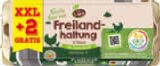 Eier aus Freilandhaltung im Angebot bei Netto Marken-Discount in Kempten Eier aus Freilandhaltung Angebote von vom Land bei Netto Marken-Discount Kempten für 2,99 €