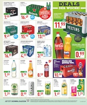 Bier im Marktkauf Prospekt in Büren Aktueller Marktkauf Prospekt mit Bier, "Aktuelle Angebote", Seite 17