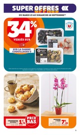 Plante Verte Angebote im Prospekt "bi1 supermarché" von Bi1 Plante Verte Angebote im Prospekt "bi1 supermarché" von Bi1 auf Seite 9