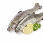 Regenbogenforellen im Angebot bei EDEKA in Neustadt Regenbogenforellen Angebote bei EDEKA Neustadt für 1,49 €