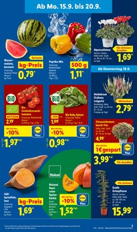 Paprika im Lidl Prospekt "LIDL LOHNT SICH" mit 68 Seiten (Nürnberg)