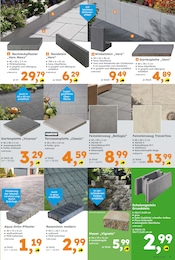 Rasenkante Angebot im aktuellen Globus-Baumarkt Prospekt auf Seite 7