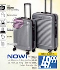 Trolley Angebote von NOW! bei EDEKA Augsburg für 49,99 €