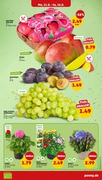 Äpfel im Penny Prospekt "Wer günstig will, muss Penny." auf Seite 3