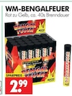 WM-BENGALFEUER Angebote von NICO bei Wreesmann Zwickau für 2,99 €