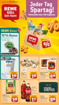 REWE Prospekt Dein Markt mit 32 Seiten