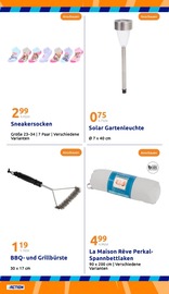 BBQ-Grill im Action Prospekt in Herne Aktueller Action Prospekt mit BBQ-Grill, "kleine Preise, grosse Freude!", Seite 21