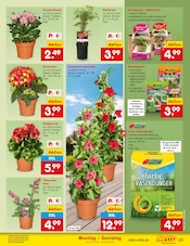 Dünger im Netto Marken-Discount Prospekt in Konstanz Aktueller Netto Marken-Discount Prospekt mit Dünger, "Aktuelle Angebote", Seite 27