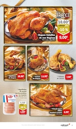 Offre Pintade Fermière dans le catalogue Colruyt du moment à la page 7