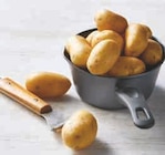 Pomme de Terre Nouvelle Récolte en promo chez Super U Sotteville-lès-Rouen à 2,99 €