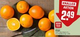 Aktuelles Orangen Angebot bei REWE in Mannheim ab 2,49 €