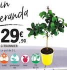 Citronnier dans le catalogue E.Leclerc