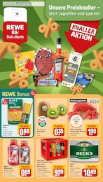 REWE Prospekt für Helmbrechts mit 36 Seiten REWE Prospekt "Dein Markt" für Helmbrechts, 36 Seiten, 30.06.2025 - 05.07.2025