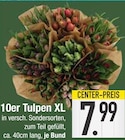 10er Tulpen XL Angebote bei EDEKA Straubing für 7,99 €