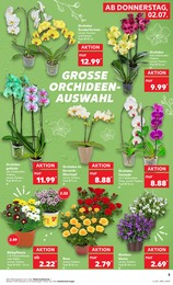 Kaufland Glocke im Prospekt 
