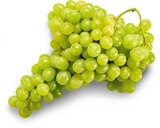 Aktuelles Trauben hell Angebot bei Netto Marken-Discount in Nürnberg ab 3,99 €