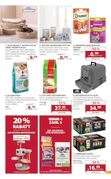 Dehner Garten-Center Coupons im Prospekt 
