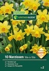 Narzissen „Tête-à-Tête“ im Angebot bei Raiffeisenmarkt in Ibbenbüren Narzissen „Tête-à-Tête“ Angebote von GÄRTNERGLÜCK bei Raiffeisenmarkt Ibbenbüren für 3,99 €