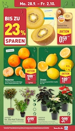 Zitronen im ALDI Nord Prospekt in Braunschweig Aktueller ALDI Nord Prospekt mit Zitronen, "Aktuelle Angebote", Seite 3