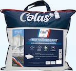 Oreiller Rafraîchissant Moelleux - Colas Normand - Intermarché Super à Caen Oreiller Rafraîchissant Moelleux - Colas Normand en promo chez Intermarché Super Caen à 6,99 €
