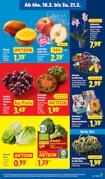 Pflanzen Angebot im aktuellen Lidl Prospekt auf Seite 7