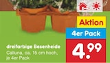 Netto Marken-Discount Niepars - dreifarbige Besenheide Angebot im Prospekt dreifarbige Besenheide bei Netto Marken-Discount im Niepars Prospekt für 4,99 €