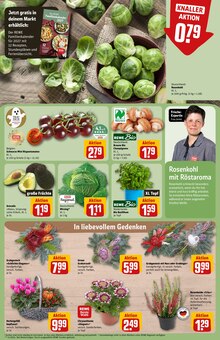 Blumentopf im REWE Prospekt "Dein Markt" mit 33 Seiten (Mönchengladbach)