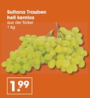 V-Markt München - Sultana Trauben hell kernlos Angebot im Prospekt Sultana Trauben hell kernlos bei V-Markt im München Prospekt für 1,99 €
