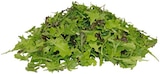 Aktuelle Gemüse Angebote bei REWE in Karlsruhe Aktuelles Bio Crispy Salatmix Angebot bei REWE in Karlsruhe ab 0,99 €